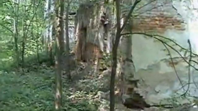 Усадьба имение графа Потоцкого, генерала Трепова смотреть онлайн