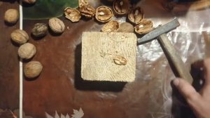 Как ПРАВИЛЬНО колоть грецкий орехи что бы доставать "бабочку"