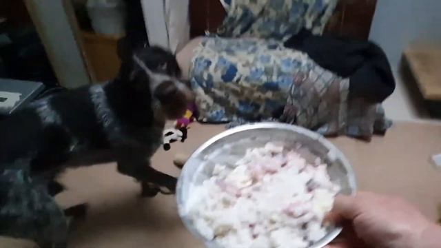 Чтоб я так жил! смотреть онлайн