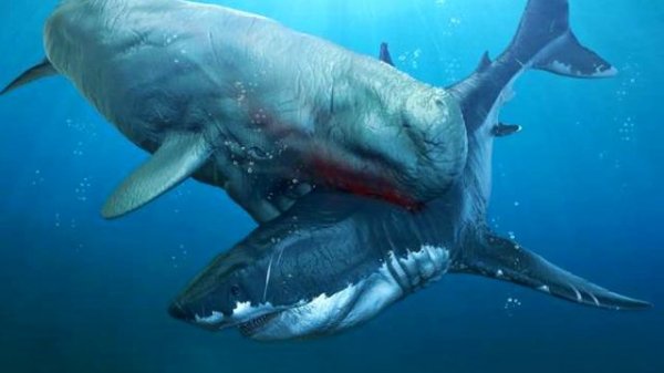 МЕГАЛОДОН VS ЛЕВИАФАН МЕЛВИЛЛА
