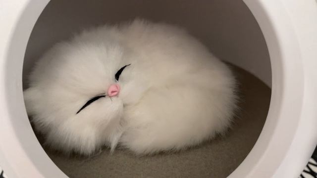 Ночник "Котёнок в домике" смотреть онлайн