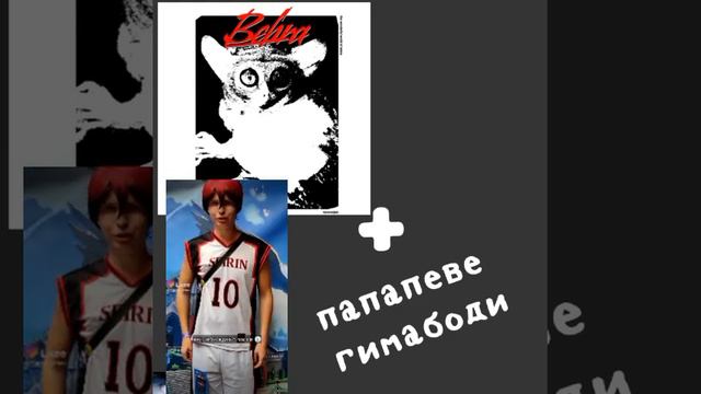 Бебра папапеве гимабоди(mashup) смотреть онлайн