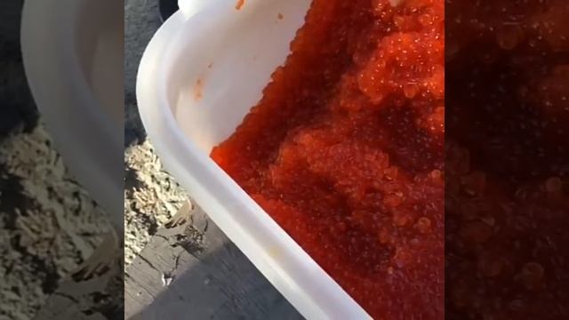 Икра Красная в Томске и Северске! ГОРБУША! КАМЧАТКА! СТЕЙКИ СЁМГИ с/м,ФИЛЕ СЁМГИ с/м. ikra70.ru смотреть онлайн