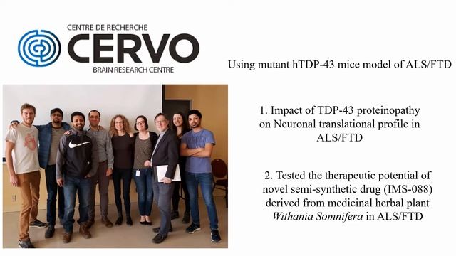 Neuronal translatome dysregulation in TDP-43 proteinopathy rescued by a novel withaferin-A analog смотреть онлайн