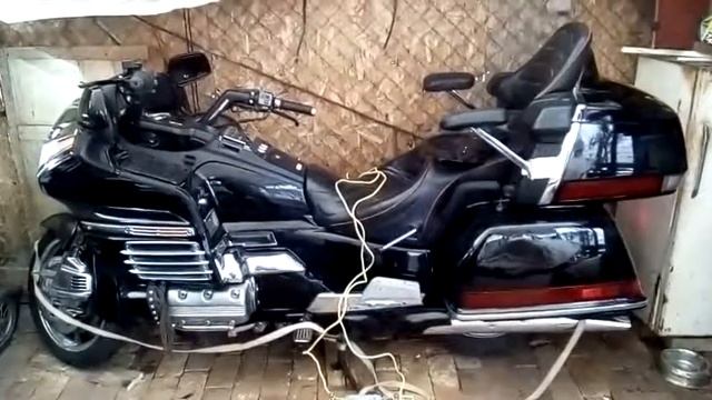 Голдвинг зимой смотреть онлайн