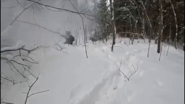 #лес #зима #работаем братья