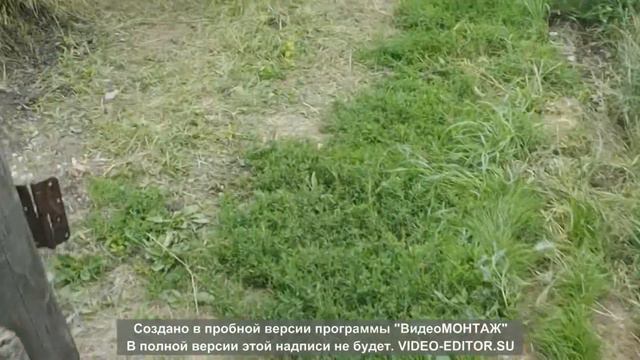 Мой первый ВЛОГ, едим на море класс!))) смотреть онлайн