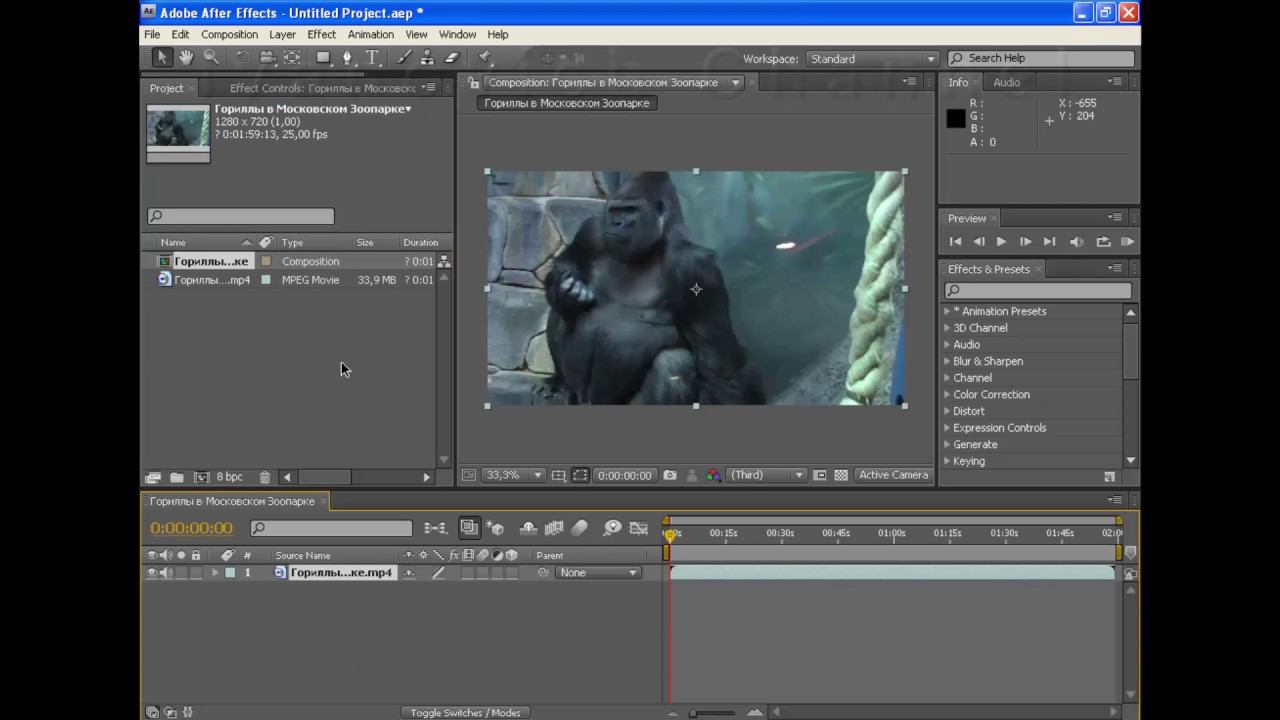 Импорт и Экспорт в Adobe After Effects смотреть онлайн