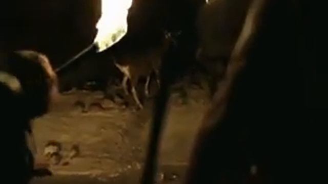 моряков ждал сюрприз в пещере (A surprise awaited the sailors in the cave) смотреть онлайн