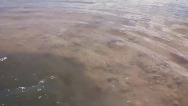 Куяльник. Грязевые ванны 1. смотреть онлайн