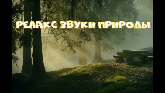 РЕЛАКС ЗВУКИ ПРИРОДЫ ДЛЯ СНА