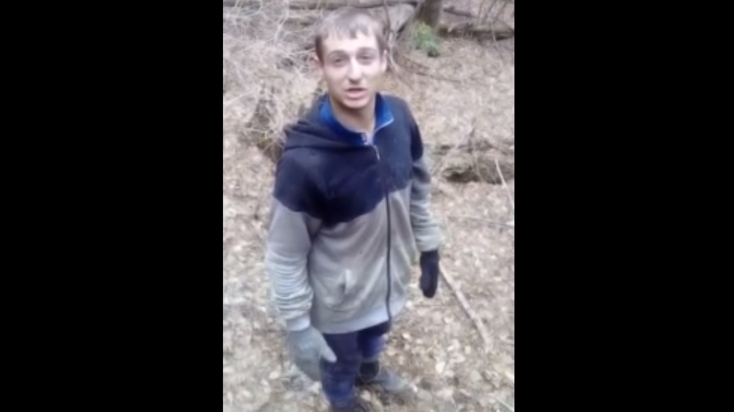 Вот как нужно лазить по деревьям смотреть онлайн