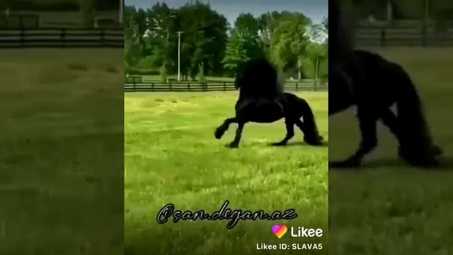 Красивые асёл смотреть онлайн