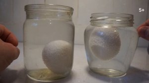 Яйца?уксус?опыт - эксперимент с яйцом и уксусом.
