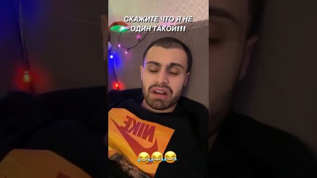 Джавид помыл кота смотреть онлайн