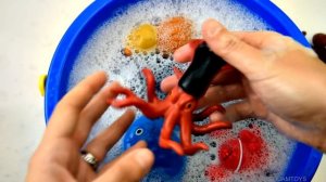 Learn Sea Animal and Wild Zoo Animals Names | Baby Toys For Kids