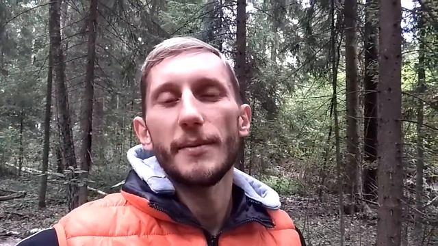 Про лес, грибы и ягоды смотреть онлайн