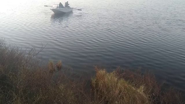 Попытка завести мотор "Ветерок 12". 1977г.в. смотреть онлайн