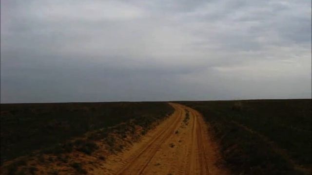 КУДА  ВЫ  ВЕДЁТЕ  ДОРОГИ  КУДА ?