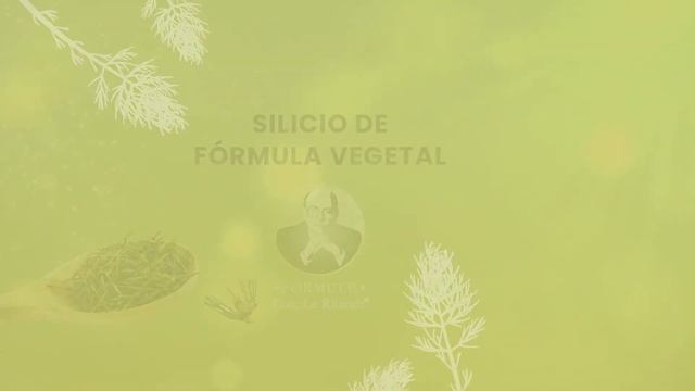 G7 Siliplant Biodinamizado смотреть онлайн