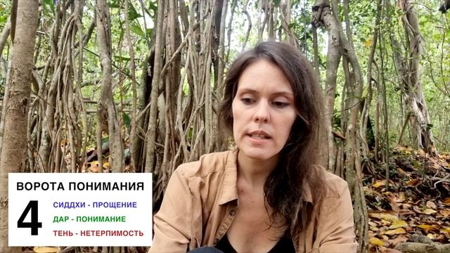 Ворота №4 в дизайне человека смотреть онлайн