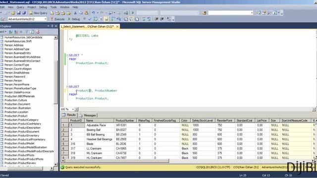 1 - SQL Select Statement смотреть онлайн