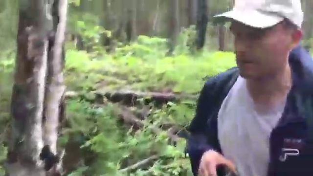 Шиес. Ежовик коралловидный. смотреть онлайн