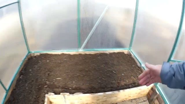 Моя первая теплица! Своими руками. смотреть онлайн