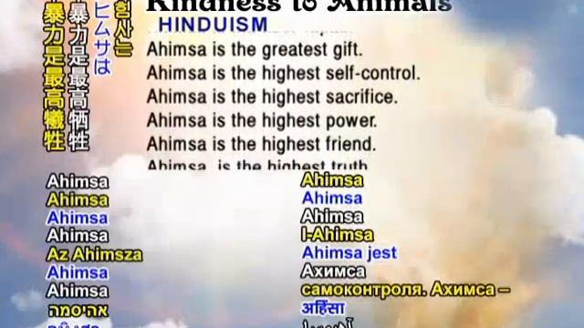 Kindness to Animals in Religions (Islam, Christianity, Hinduism, Buddhism, Sikhism, Baha's Faith) смотреть онлайн