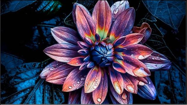 V. Предисловие. Личностные реальности. Уровни Реальности. смотреть онлайн