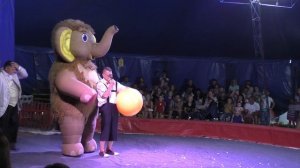 Цирк для детей! Смайл - Государственный цирк Украины