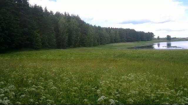 ПУШКИНСКИЕ ГОРЫ. Pushkinskie Gory. Russia