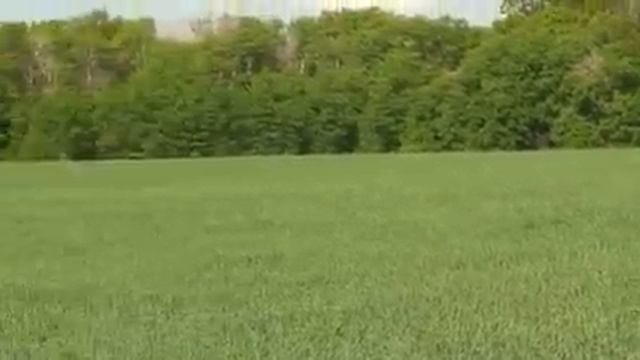 Новохопёрск весной. смотреть онлайн