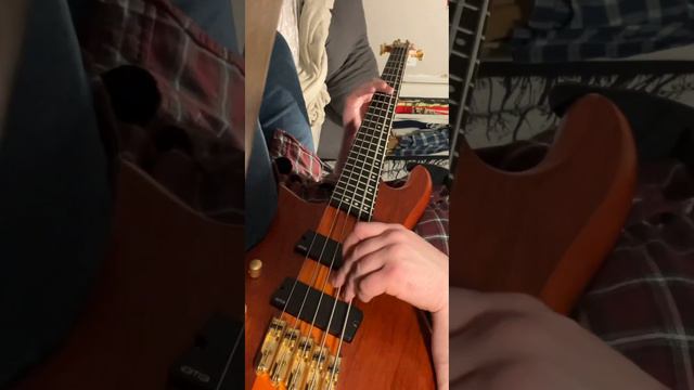 Dancing Queen Bass Cover - Schecter Stiletto Studio 5-ff смотреть онлайн