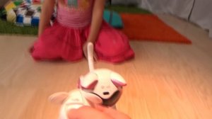 У Николь две кошки и мышка ! Дети играют в кошки мышки