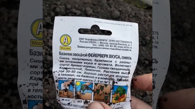 63??Посадила трёх угольную грядку с приправами смотреть онлайн