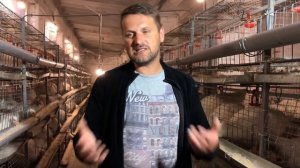 Бройлеры выращивание как бизнес, суточный Цыпленок кобб 500, бройлеры как бизнес