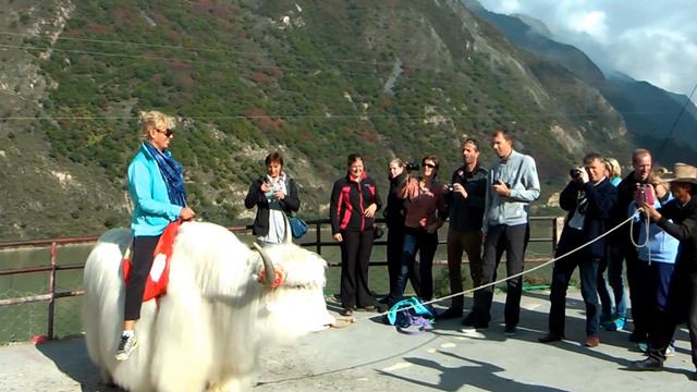 White Yak (Songpan - Chengdu, China) смотреть онлайн