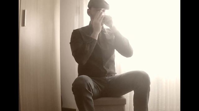 HARMONICA (Irish) - A night at the fair/Gallagher's frolic (jig) смотреть онлайн