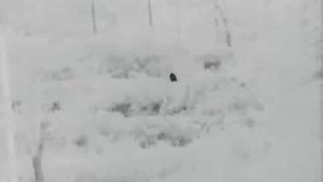 Good quality thermal monocular for hunting смотреть онлайн