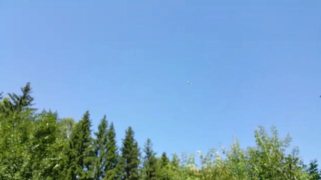 В выходной гуляем//дендропарк #дендропарк смотреть онлайн