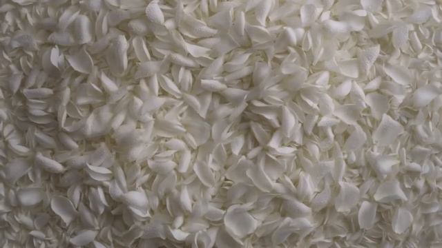 Dior J'adore à L'infini