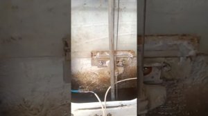 Замена бокового стекла газели. Демонтаж и установка. ГЕОЛОГ На Газели.