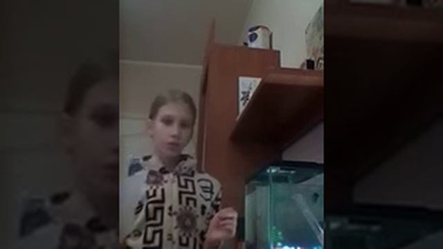 Что делать если из аквариума идёт вонь? смотреть онлайн
