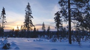 Отдых в Карелии в таёжной избушке зимой