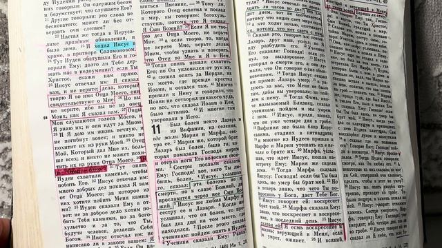 Евангелие от Иоанна. Глава 8-13. #евангелие_слушать #словобога #евангелиеотиоанна