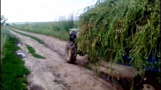 Заготовка сена_Мотоблок зубр 8 к.с смотреть онлайн