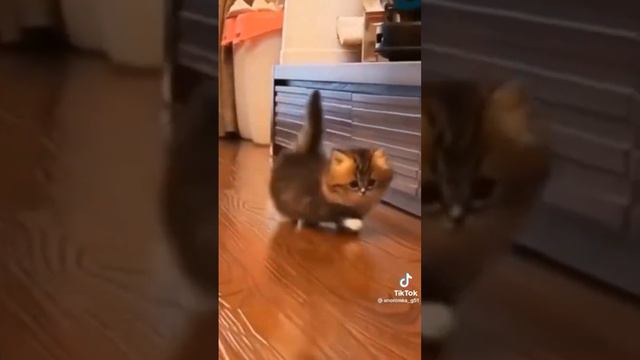 Спокойной ночи, зайка 💗💗💗 смотреть онлайн