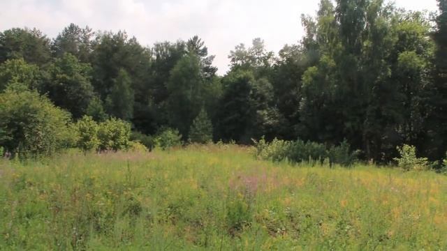 Земельный участок около деревни Зелени, 10км от Владимира #недвижимость #участок #нателла смотреть онлайн
