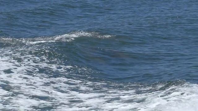 ЗВУКИ ПРИРОДЫ-ШУМ МОРЯ - ИСПАНСКАЯ ГИТАРА И МОРЕ смотреть онлайн